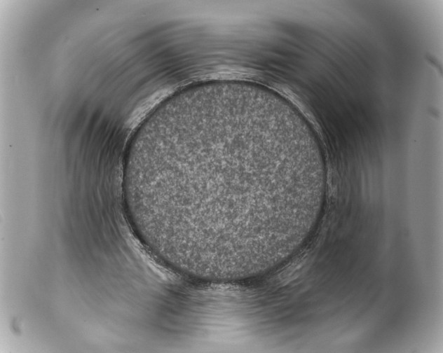 X0000099300437200805301136
