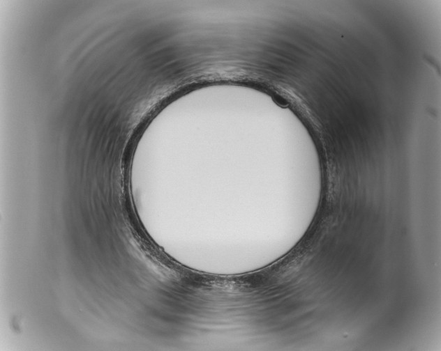 X0000099300439200805301136