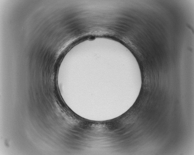X0000099300440200805301136