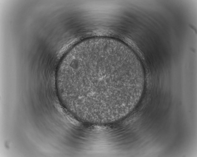X0000099300442200805301136