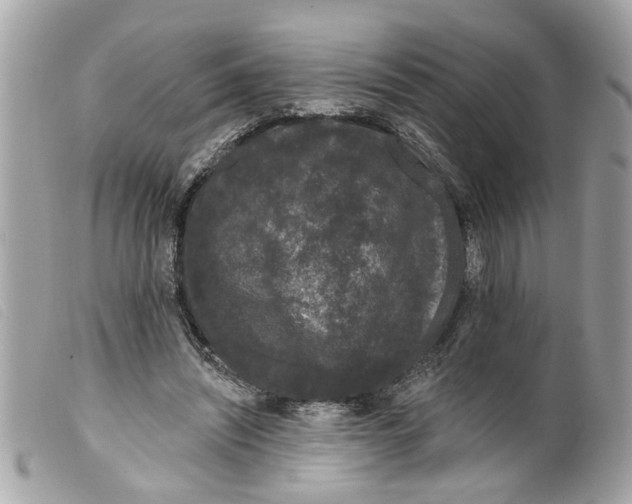 X0000099300444200805301136