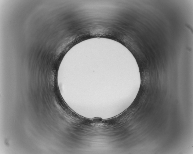 X0000099300448200805301136