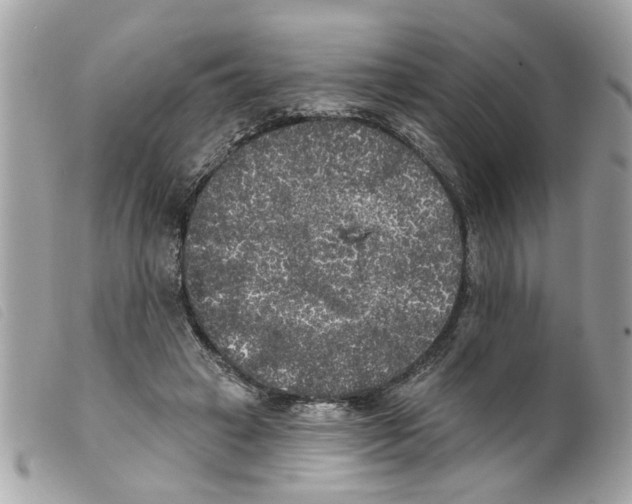X0000099300449200805301136