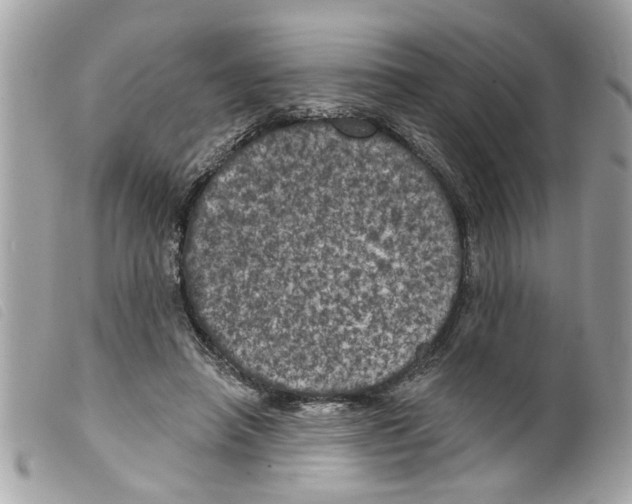 X0000099300450200805301136