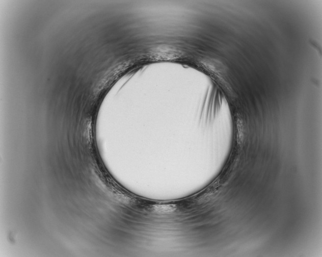 X0000099300451200805301136