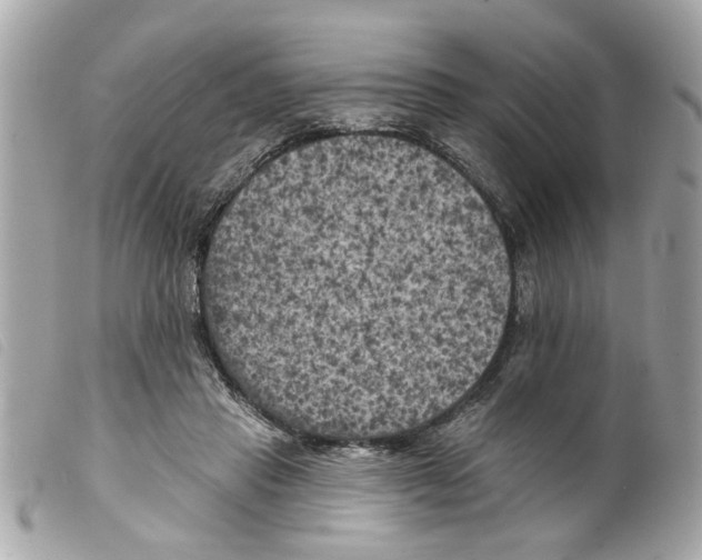 X0000099300453200805301136