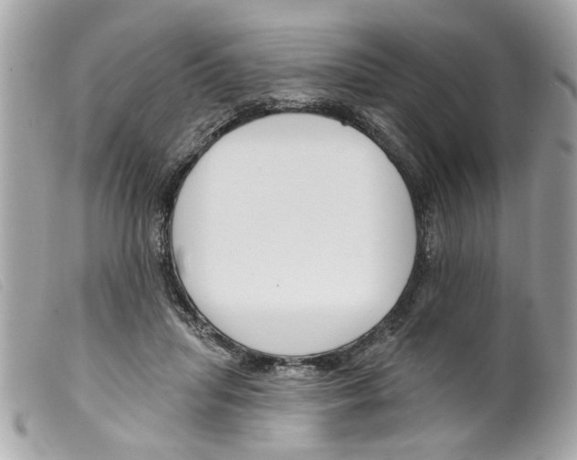 X0000099300455200805301136