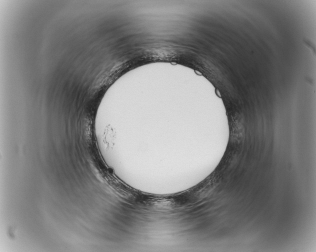 X0000099300456200805301136