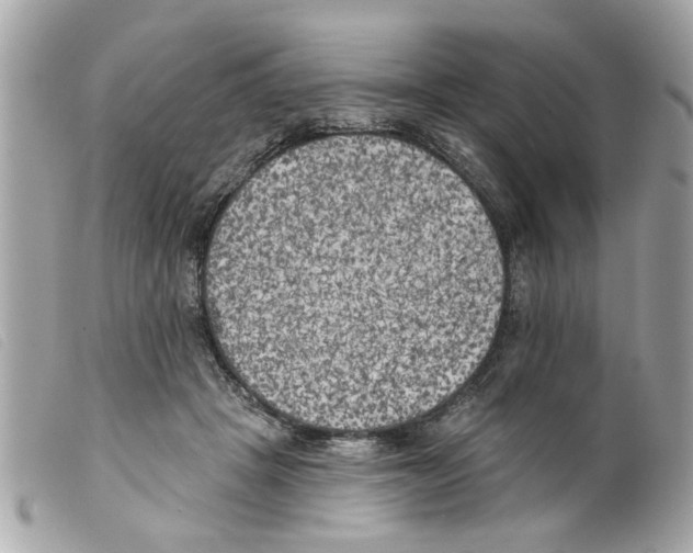X0000099300457200805301136