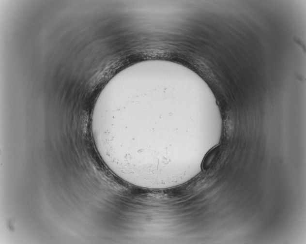 X0000099300458200805301136