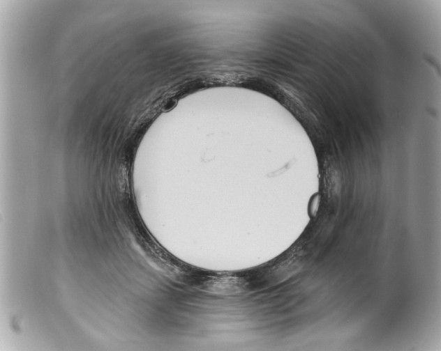 X0000099300459200805301136