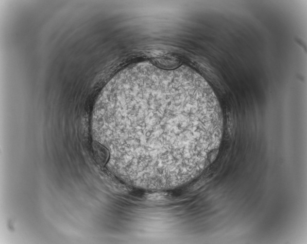 X0000099300461200805301137