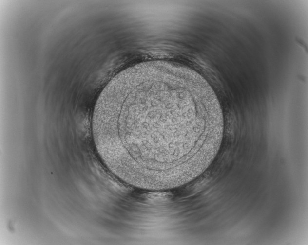 X0000099300465200805301137