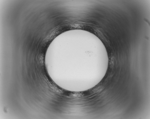 X0000099300466200805301137