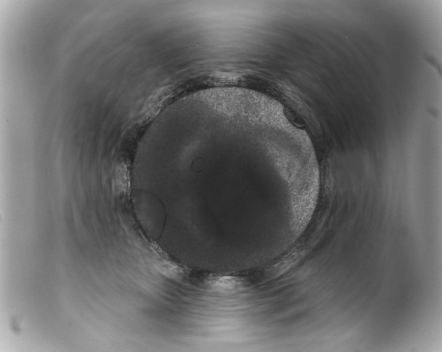 X0000099300467200805301137
