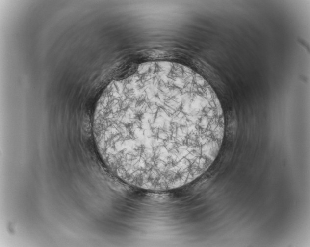 X0000099300469200805301137