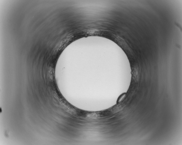 X0000099300470200805301137