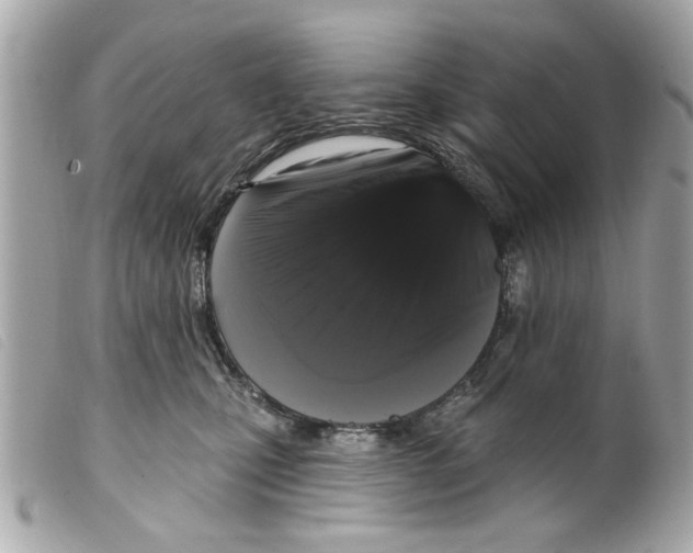 X0000099300471200805301137