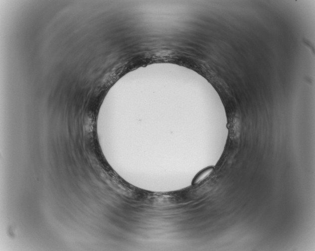 X0000099300472200805301137