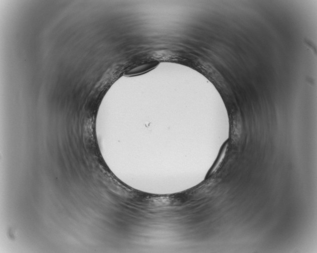 X0000099300473200805301137