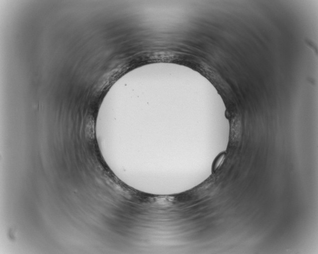 X0000099300474200805301137