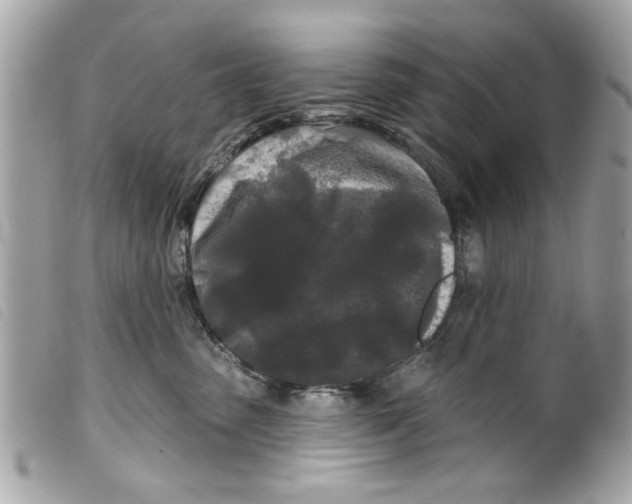 X0000099300475200805301137