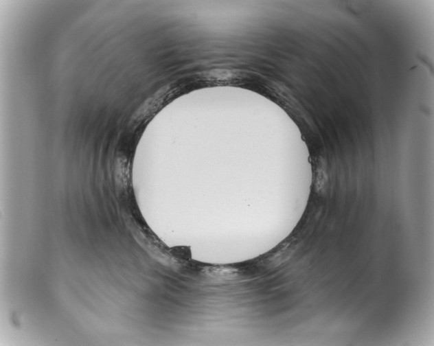 X0000099300476200805301137