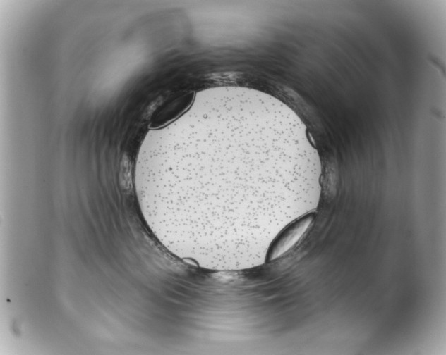 X0000099300477200805301137