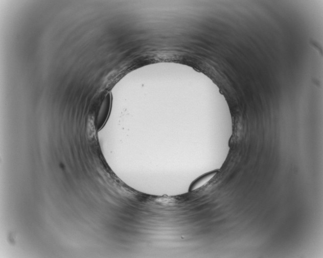 X0000099300478200805301137