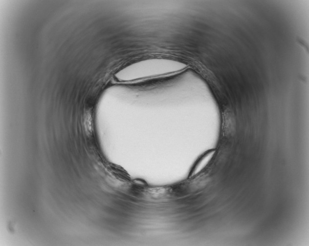 X0000099300479200805301137