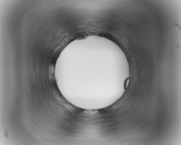 X0000099300480200805301137