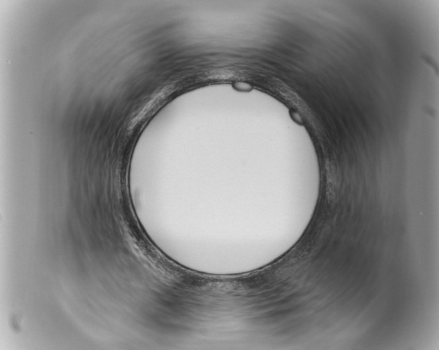 X0000099300482200805301136