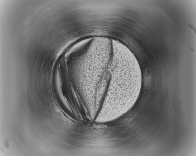 X0000099300484200805301136