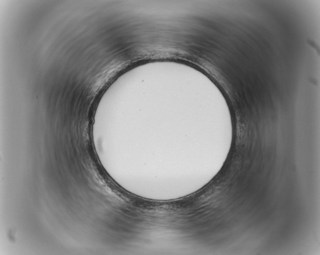 X0000099300485200805301136