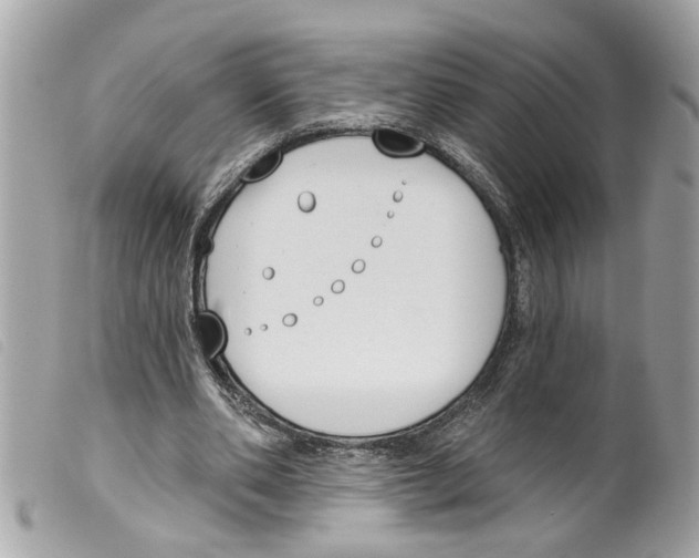 X0000099300486200805301136