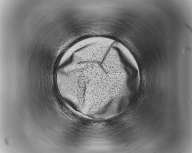 X0000099300488200805301136