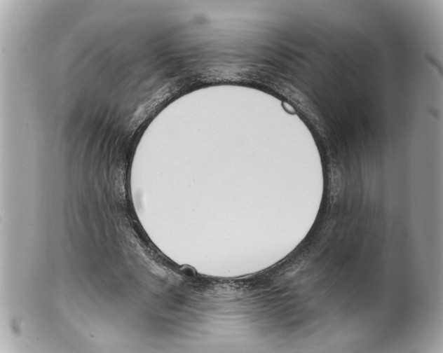 X0000099300489200805301136