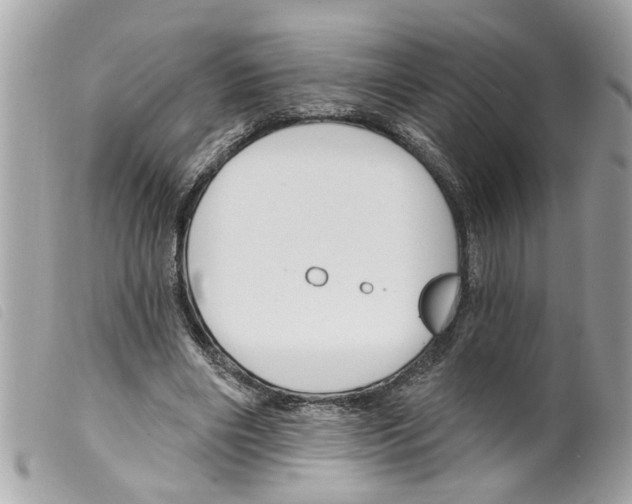 X0000099300490200805301136