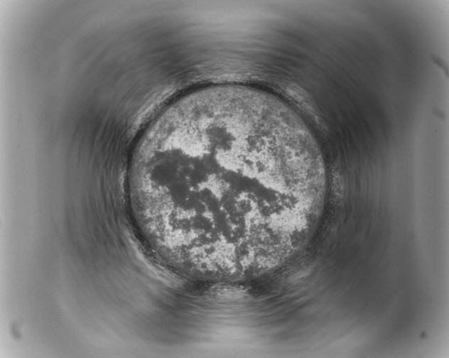 X0000099300491200805301136