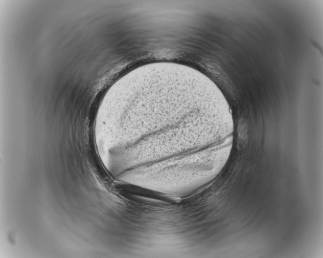 X0000099300492200805301136