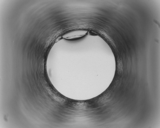 X0000099300493200805301136