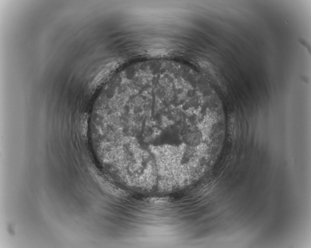 X0000099300495200805301136