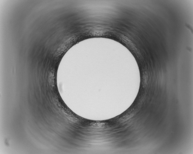 X0000099300497200805301136