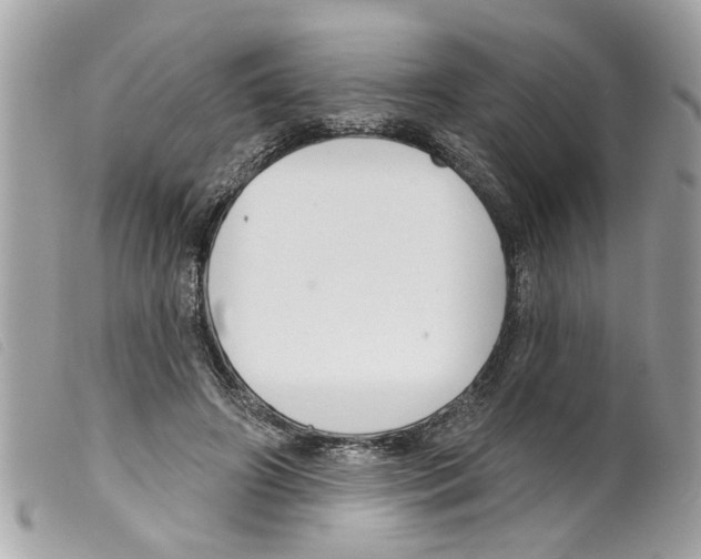 X0000099300498200805301136
