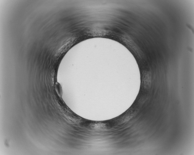 X0000099300501200805301136