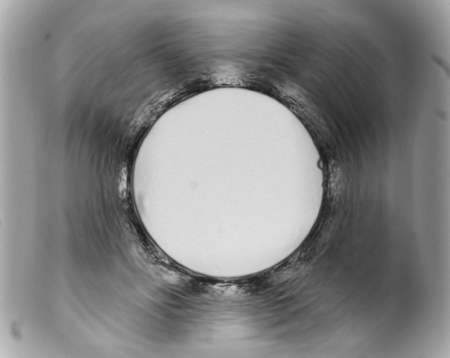 X0000099300502200805301136
