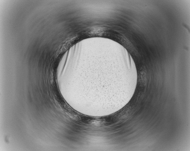X0000099300504200805301136