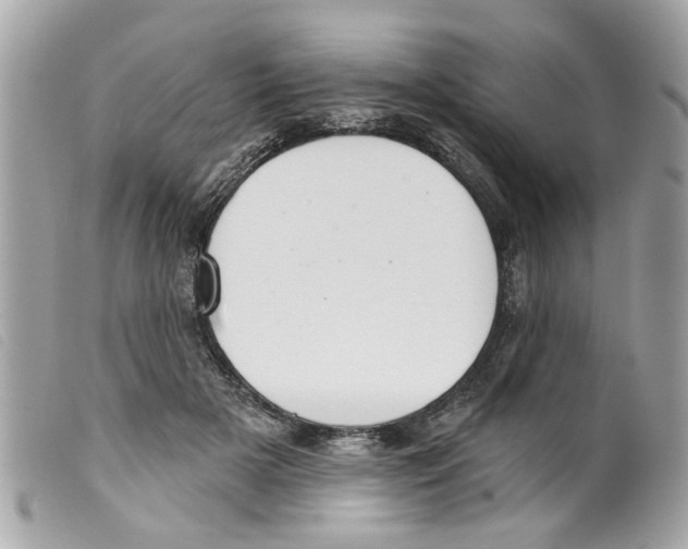 X0000099300505200805301136