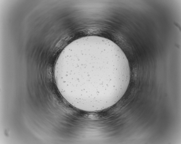 X0000099300506200805301136