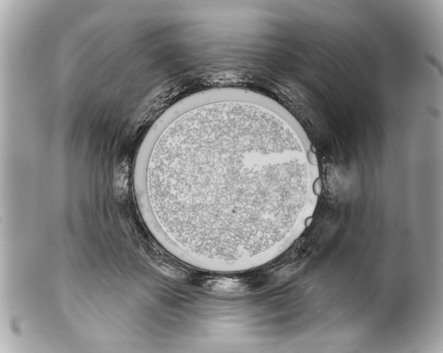 X0000099300507200805301136